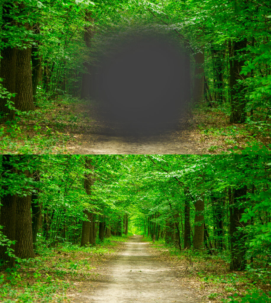 En skov med en grå prik i midten, der angiver, hvordan man ser, hvis man har AMD